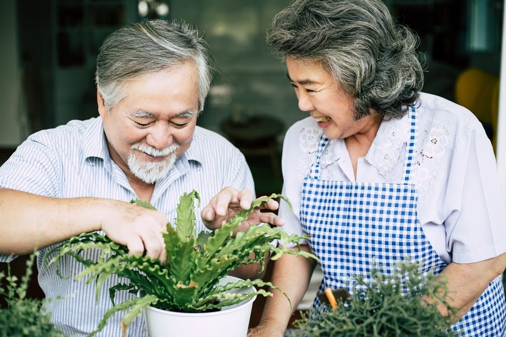 Couple Gardening Couple Gardening