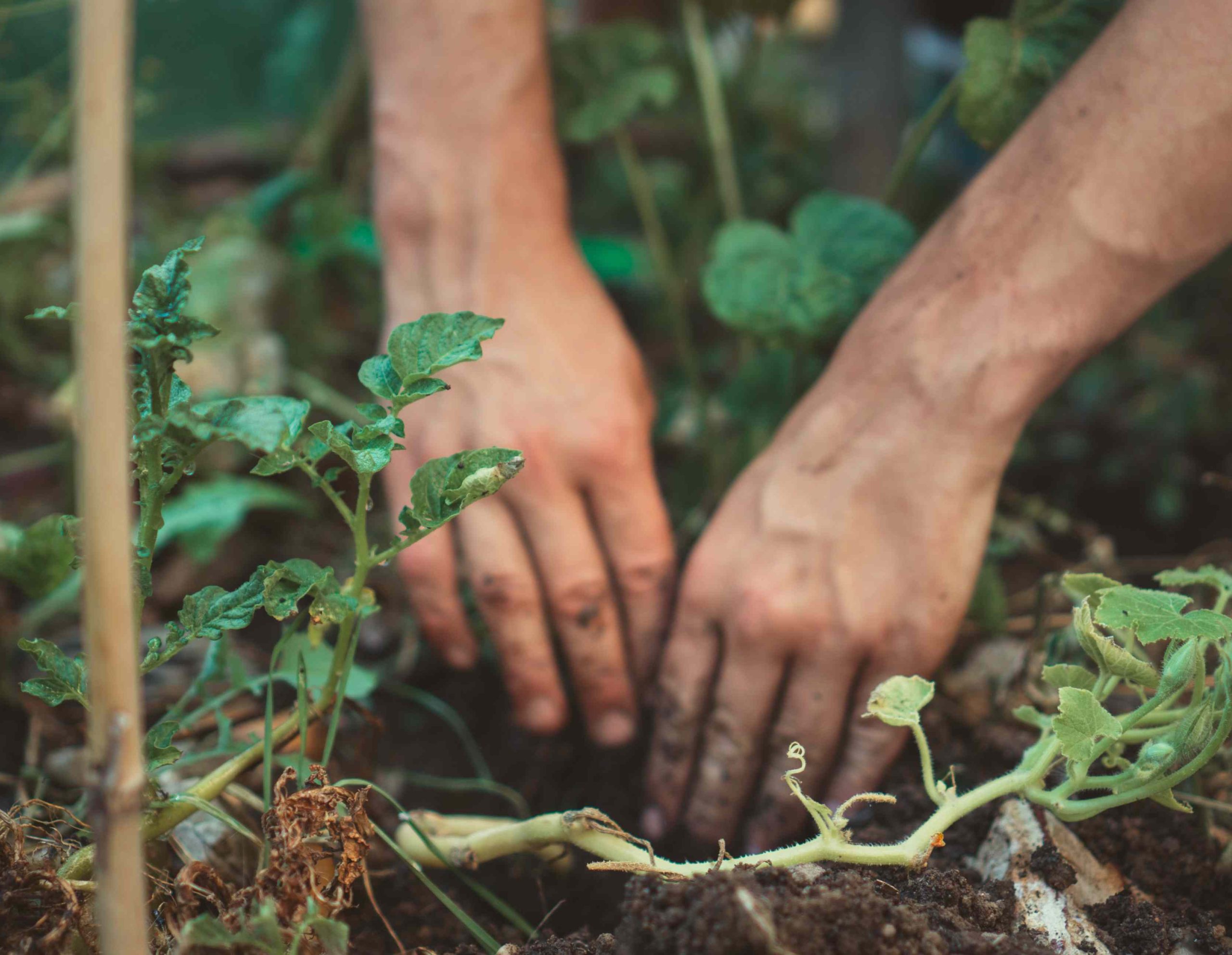 Gardening-tile