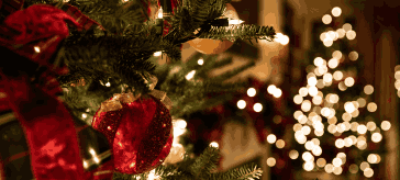 Christmas Celebrations in Western North Carolina